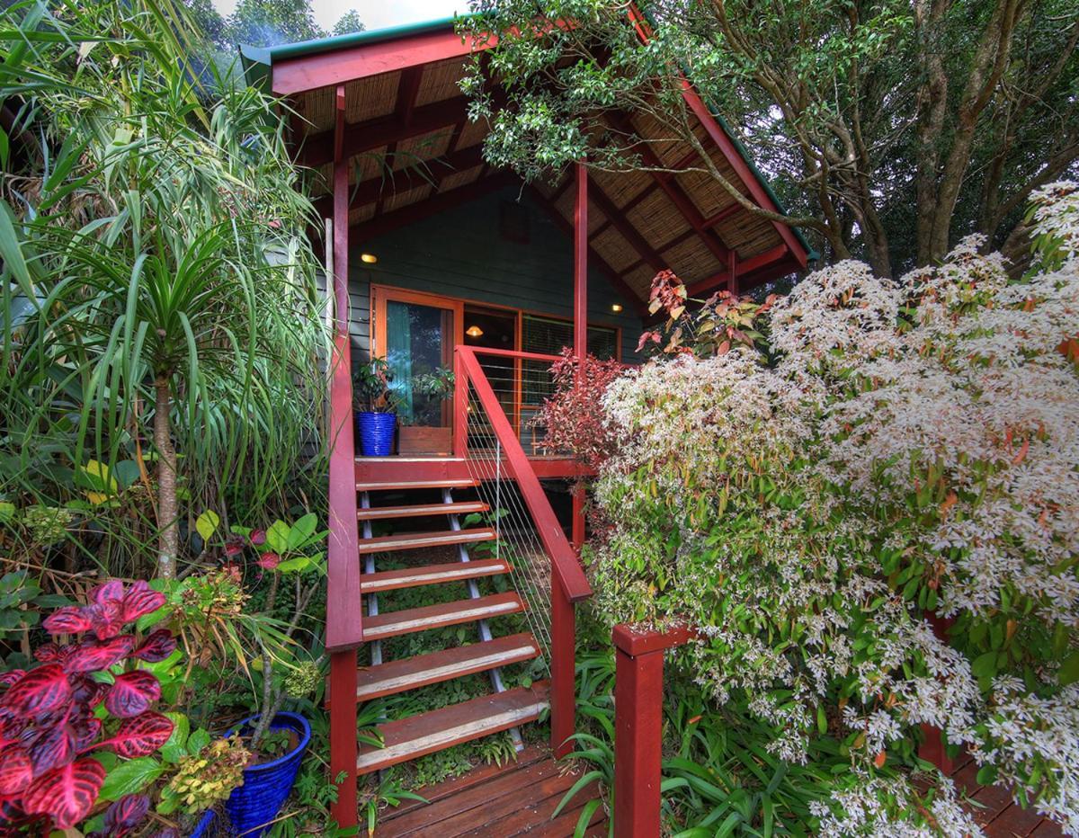 Maleny Tropical Retreat Bed and Breakfast Εξωτερικό φωτογραφία