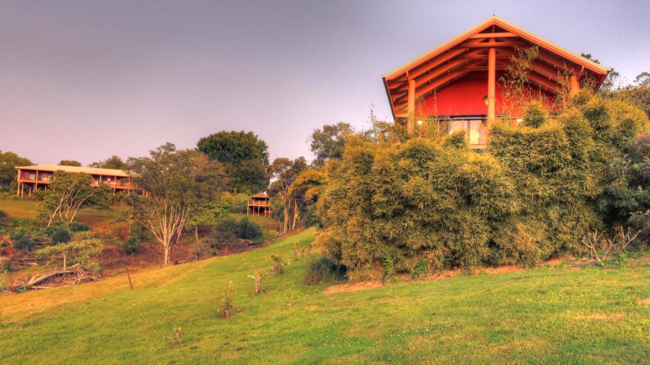 Maleny Tropical Retreat Bed and Breakfast Εξωτερικό φωτογραφία