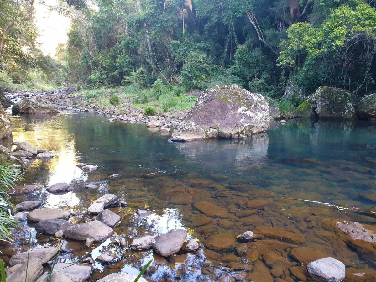 Maleny Tropical Retreat Bed and Breakfast Εξωτερικό φωτογραφία